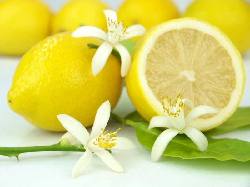 limoni.jpg