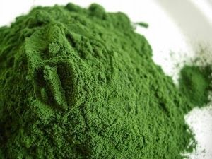 spirulina2.jpg