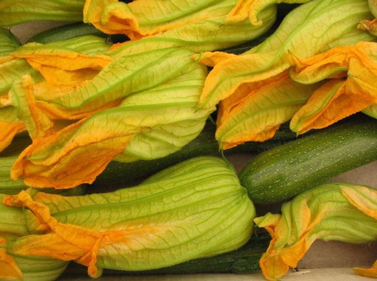 zucchine-fiori.jpg