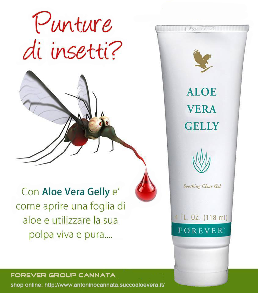 aloe vera gelly emorroidi