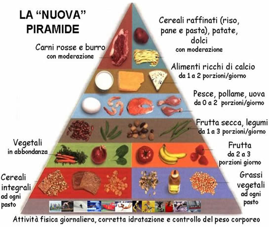 La storia dell'alimentazione